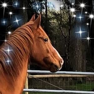 Meet your Posher, Sheri